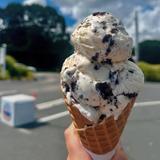 Baron's Homemade Ice Cream