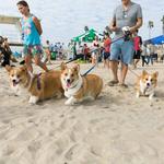 Dog Beach | Huntington Beach