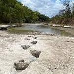 Dinosaur Valley State Park