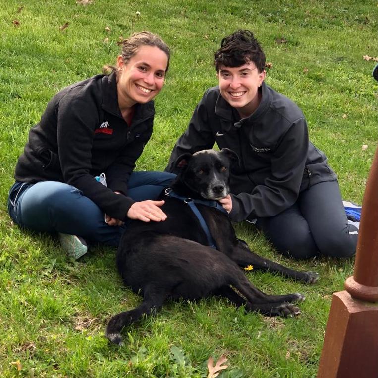We adopt Alvin! April 2020