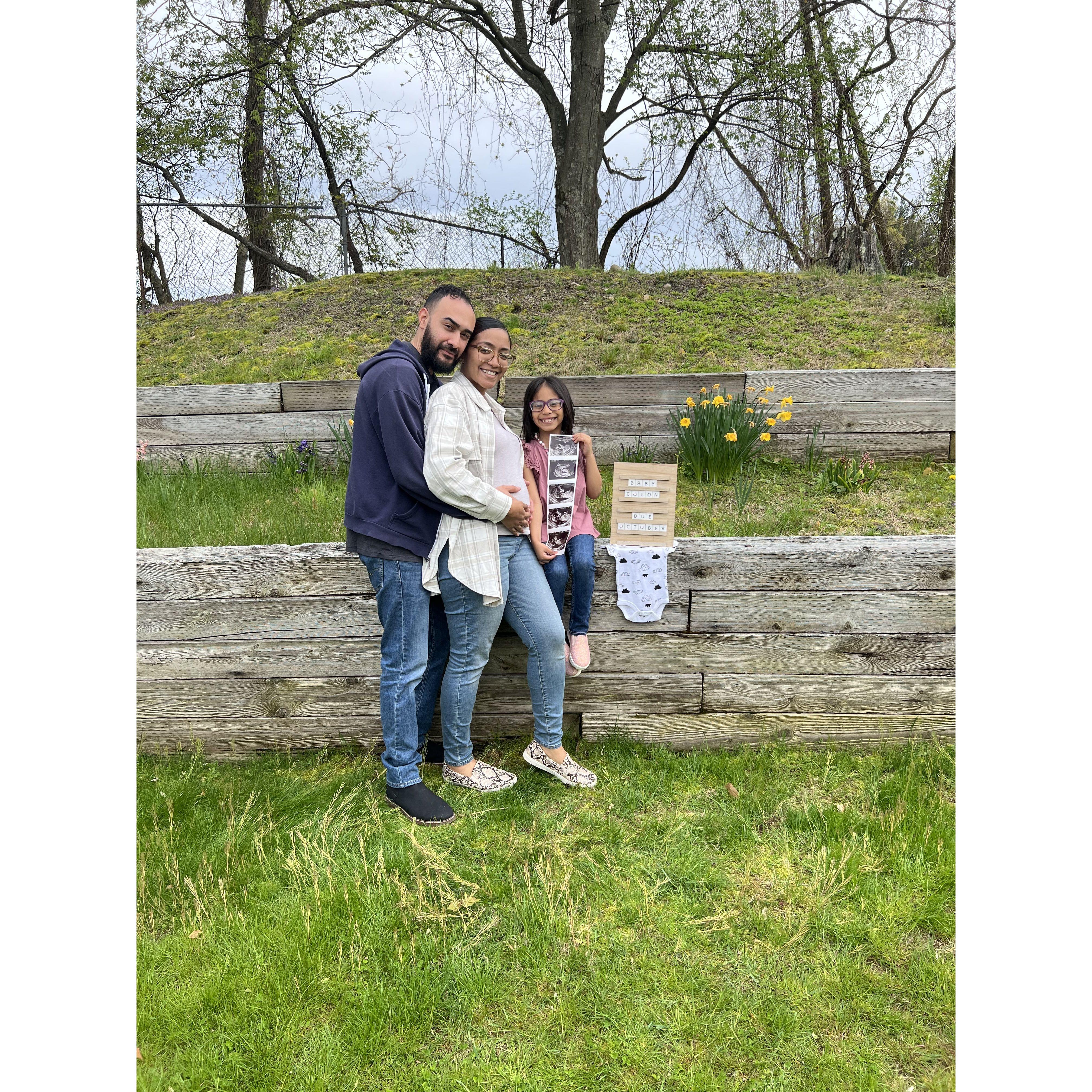 Our pregnancy announcement!