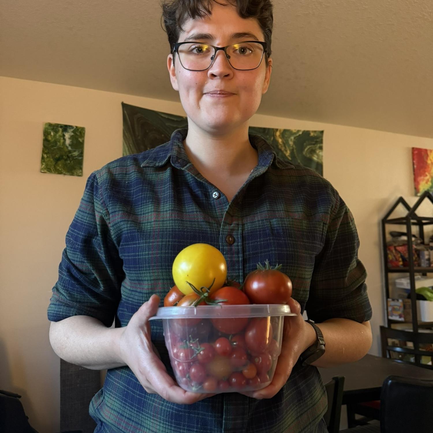 Tomatoe harvest 2025
