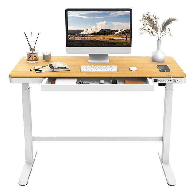 Flexispot Electric Height Adjustable Standing Desk with Drawer 48 x 24 Inches Natural Desktop & Adjustable White Frame Quick Install Computer Workstation (USB Charge Ports, Memory Controller)