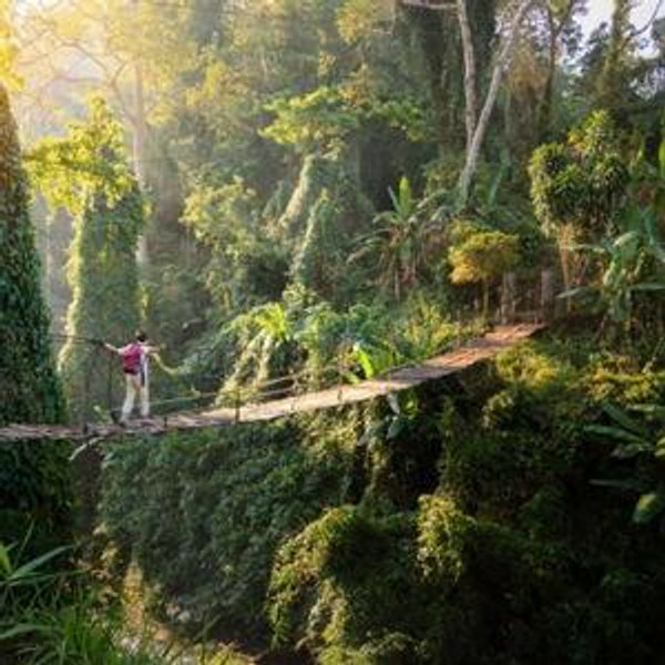 Honeymoon Experiences