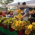 St. Pete Saturday Morning Market