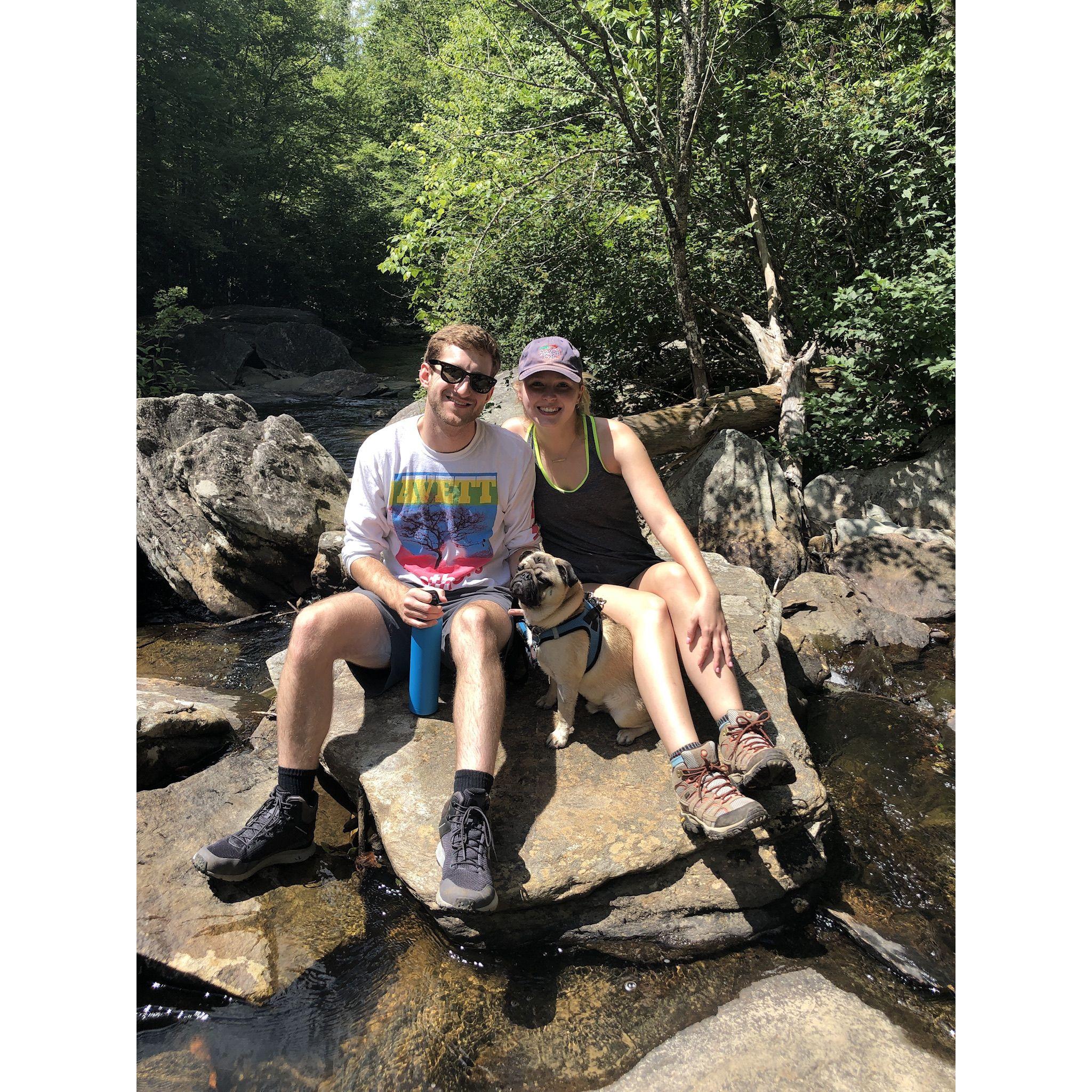 Hike with Archie, our adventure pug, in Boone, NC - Aug 2020