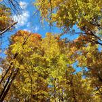 Buttermilk Falls State Park