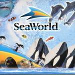 SeaWorld