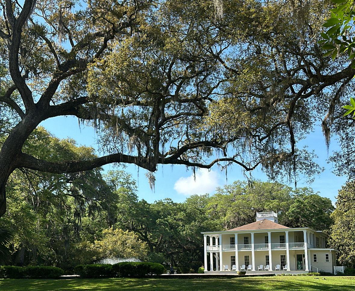 The Wedding Website of Heaven Mclaughlin and Ian Dutton