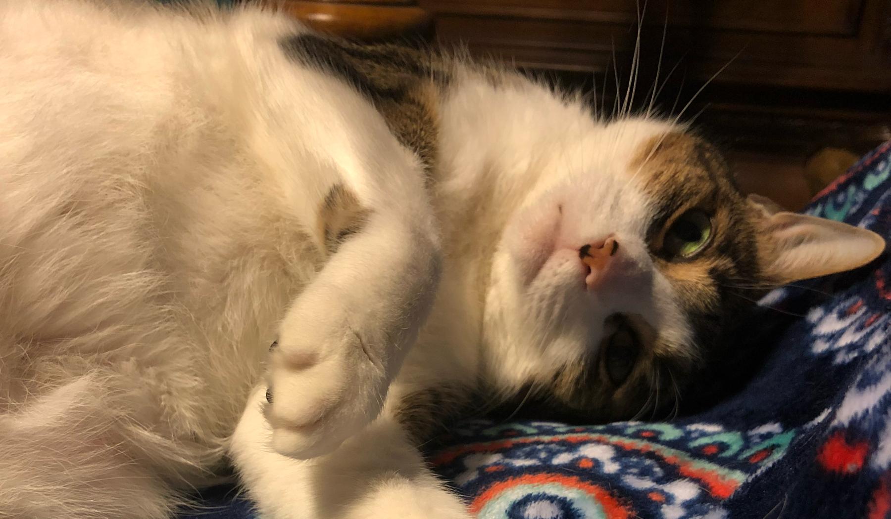 The Wedding Website of Madison Shoaf and Tre Warner