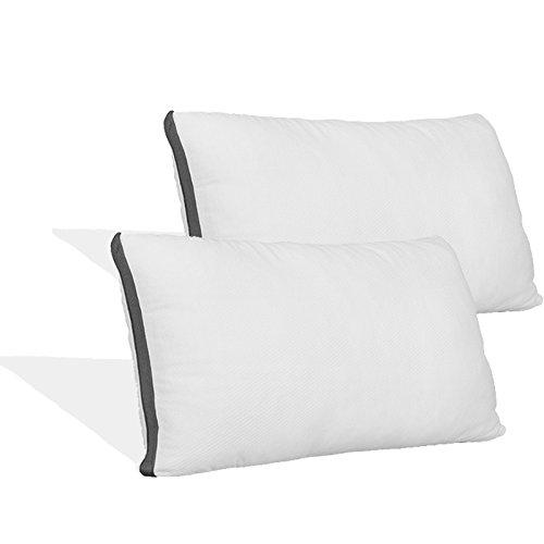 Coop Home Goods - Pillow Protector - Waterproof and Hypoallergenic - Protect Your Pillow Against Fluids/Spills/Mites/Bed Bugs - Oeko-TEX Certified Lulltra Fabric - Standard (2 Pack)