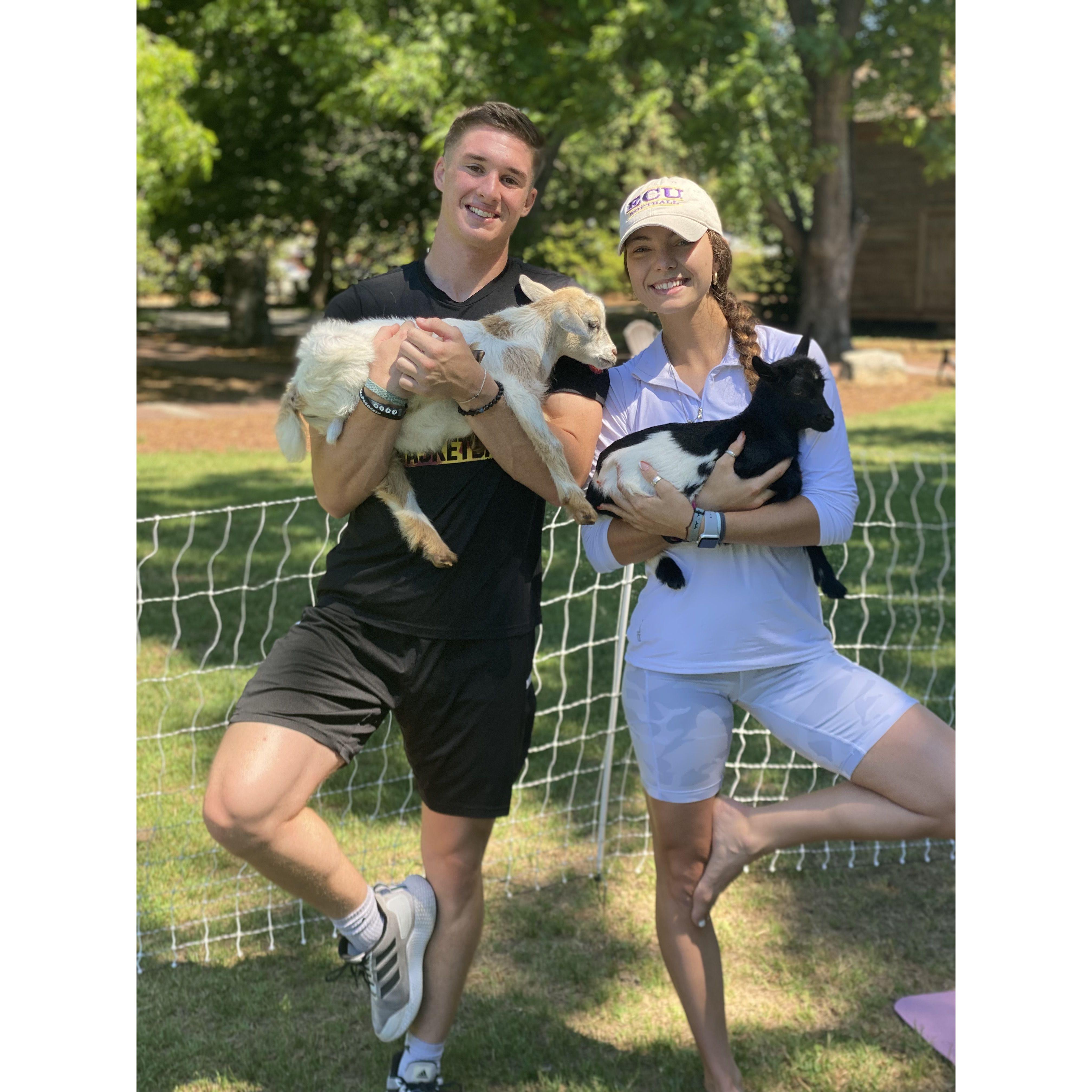 Have you ever tried goat yoga?