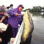 Annie Miller's Swamp Tours & Charters