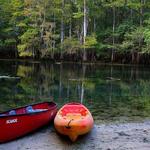Manatee Springs State Park