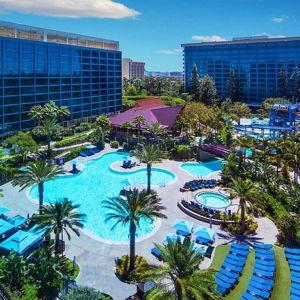 Layover - Disneyland Hotel