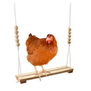 Backyard Chicken Swing/Perch