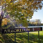 University of Wisconsin-Madison Arboretum