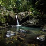 El Yunque National Forest