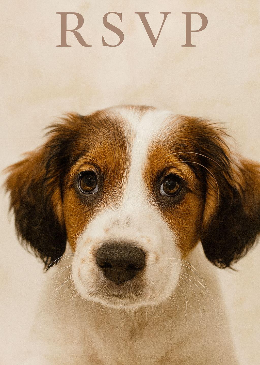 The Wedding Website of Jessica Lohse and Ryan Sydor