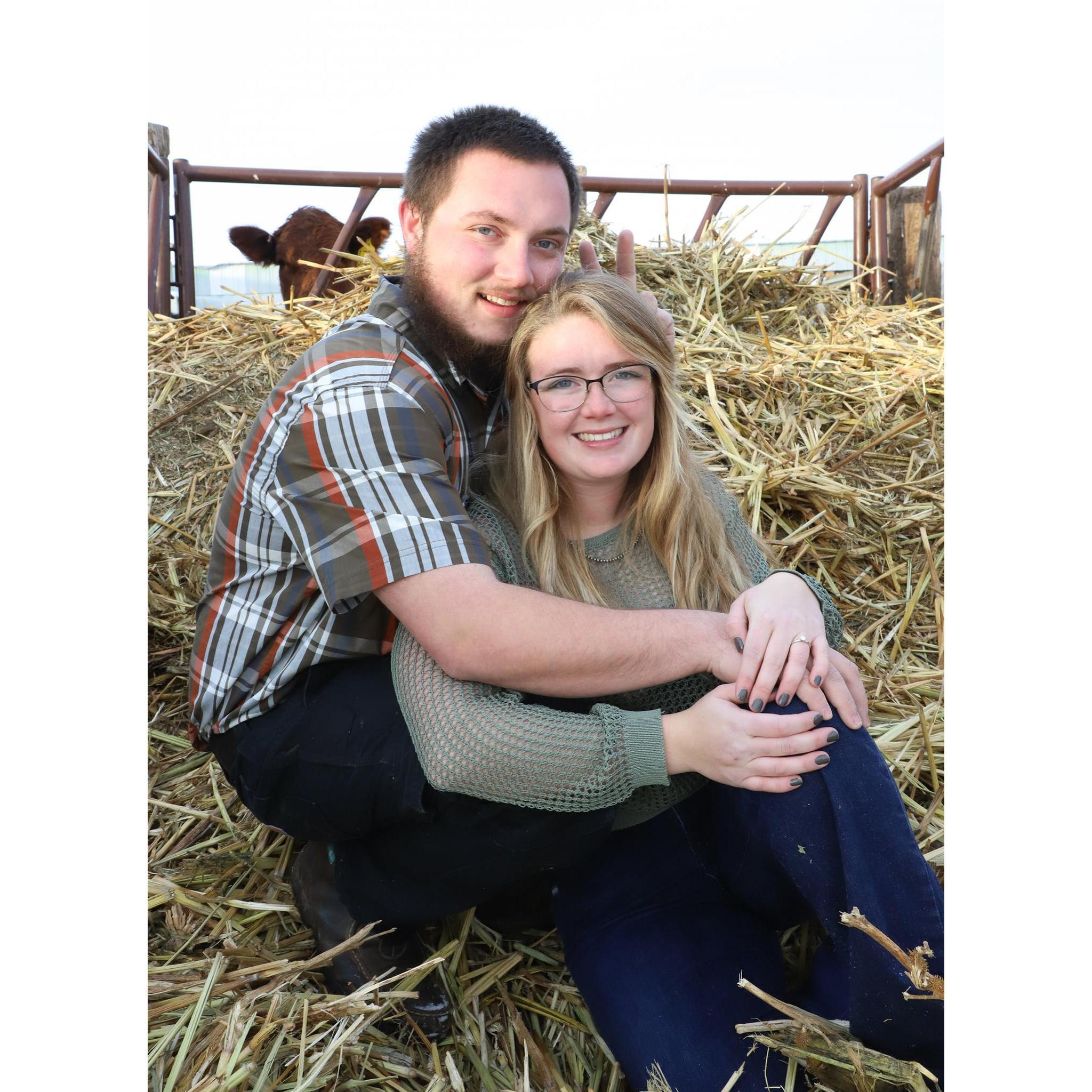 Probably Jordan's favorite. Funny enough Bailey didn't catch the bunny-ears until adding them on to the website.