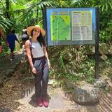 El Yunque National Forest