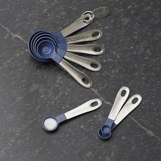 Stainless Steel and Blue Measuring Spoons, Set of 8