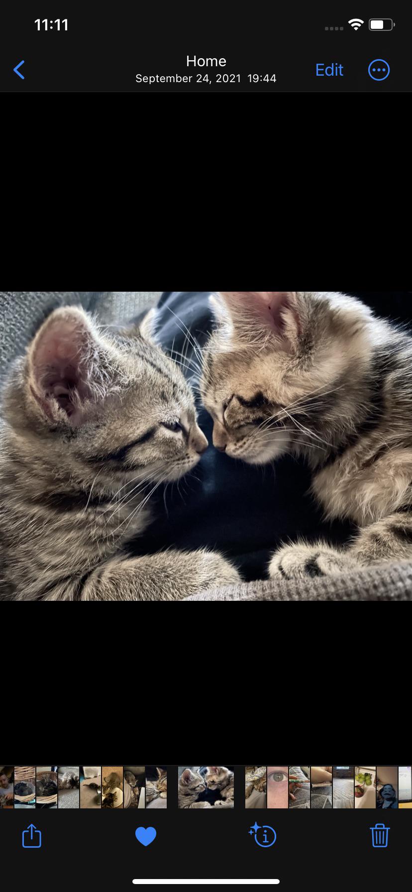 Louie and Ernie😍