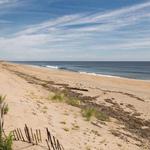Plum Island Beach