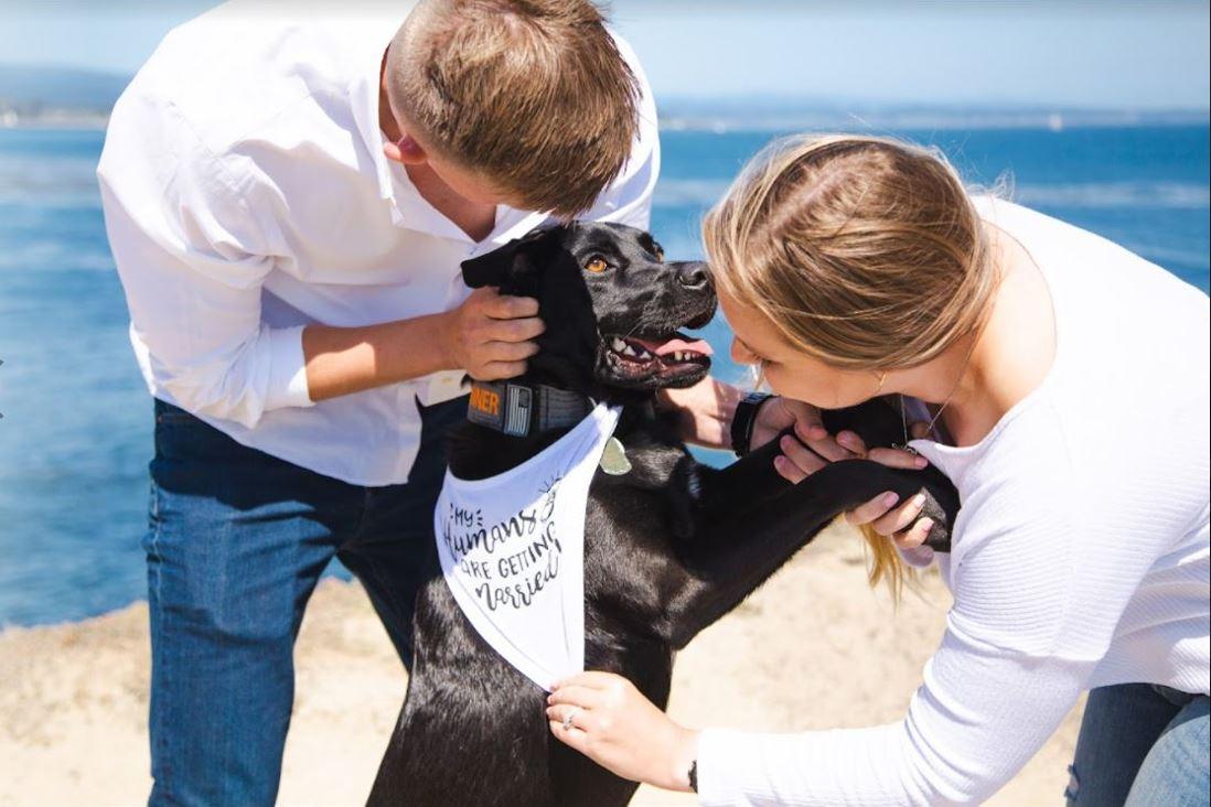 The Wedding Website of Ashley Lawrence and Connor Denning