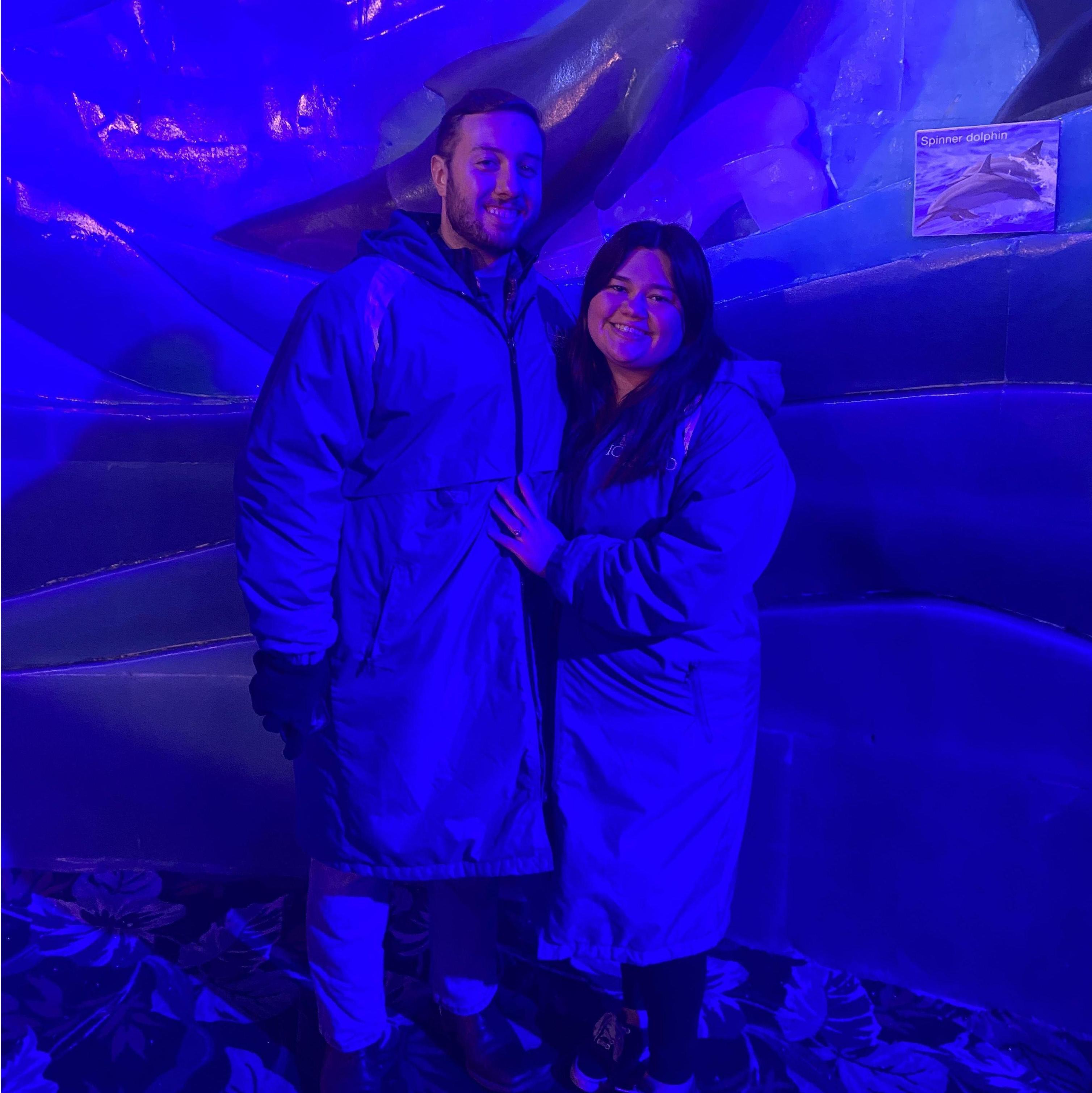 November 2022, Galveston, Texas. Ice Land at Moody Gardens.