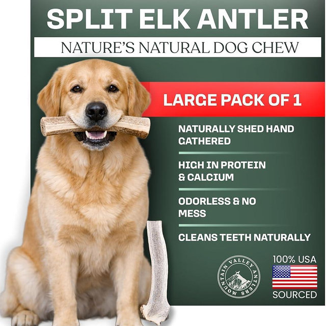 Mountain Valley Elk Antlers for Dogs - 100% Natural & Organic Chew for Aggressive Chewers, No Odor, No Mess, Long Lasting - Wild-Foraged Naturally Shed Antlers in USA - Grade A, Split Large (1 Pack)