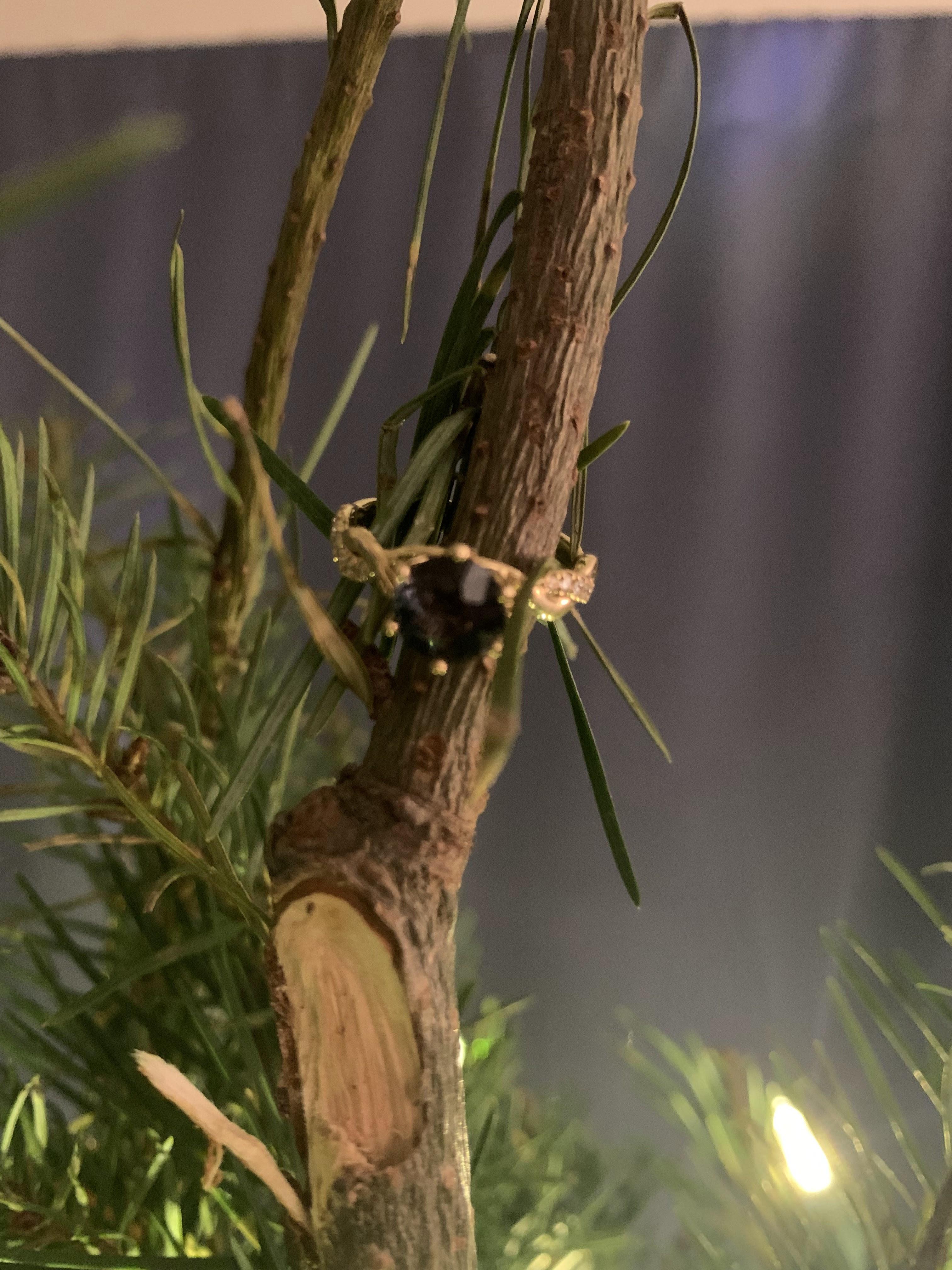 The Wedding Website of Caiti Sonni and Nik Rockney-Finger