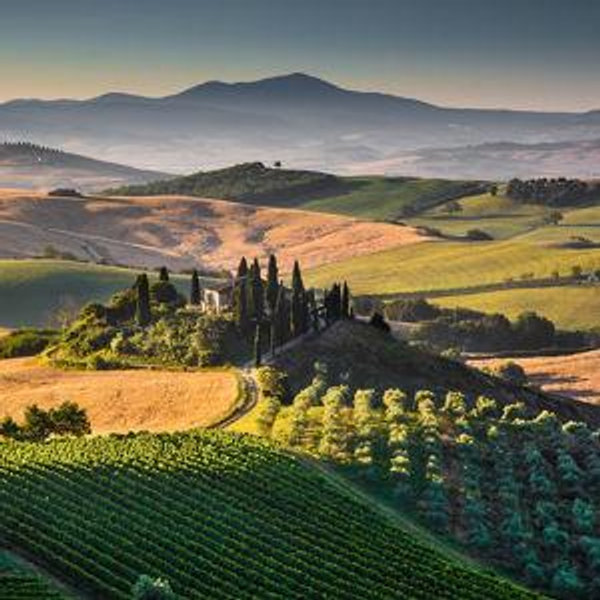 Tuscany Wine & Hill Town Experience