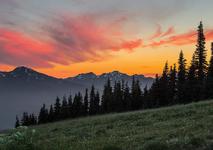Olympic National Park