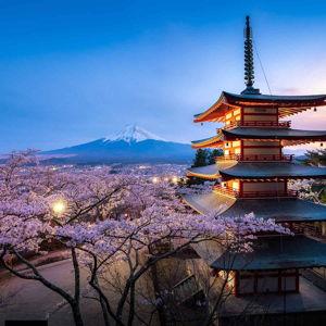 Honeymoon Fund: Tokyo