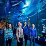 St. Louis Aquarium at Union Station