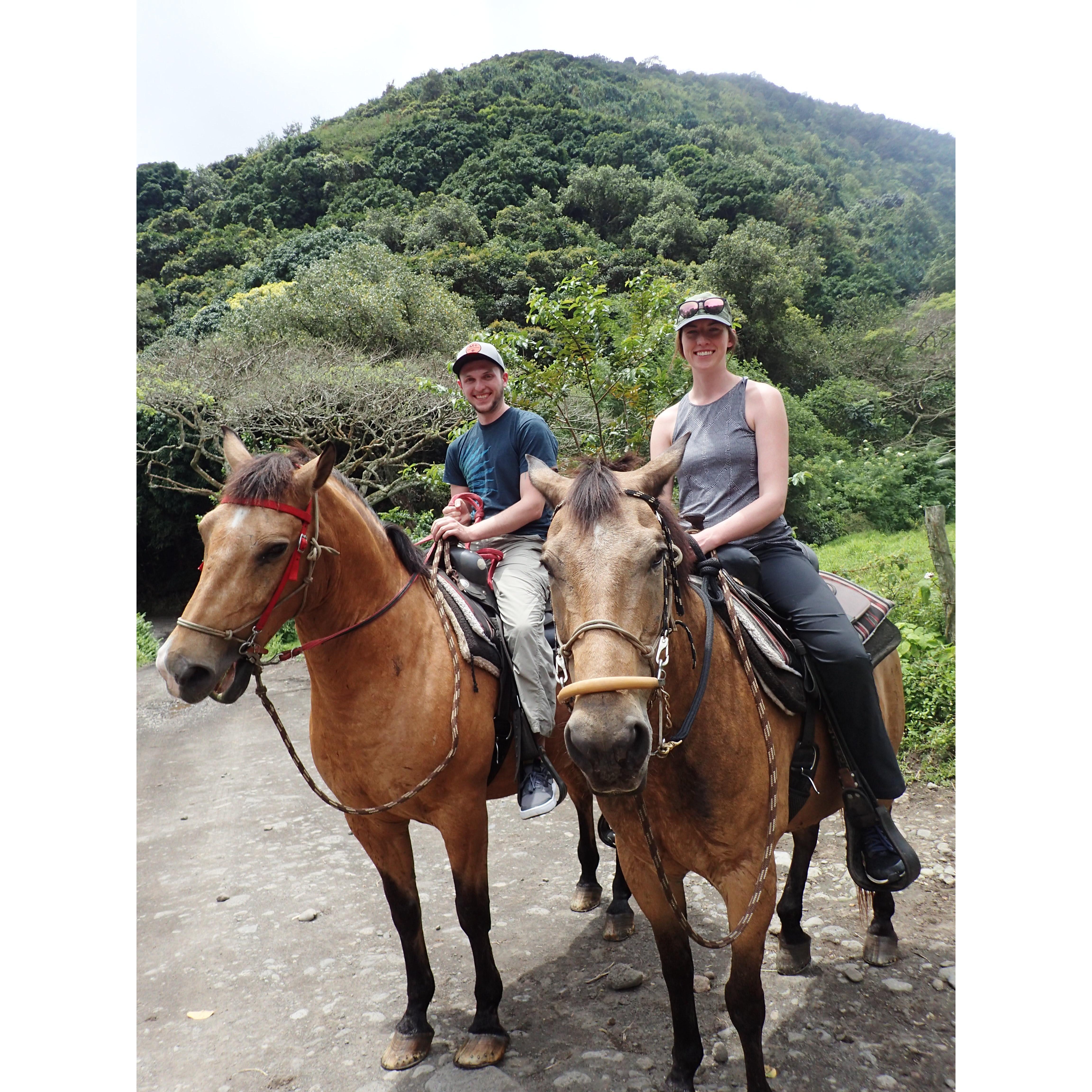 Waimea Valley on Horseback.