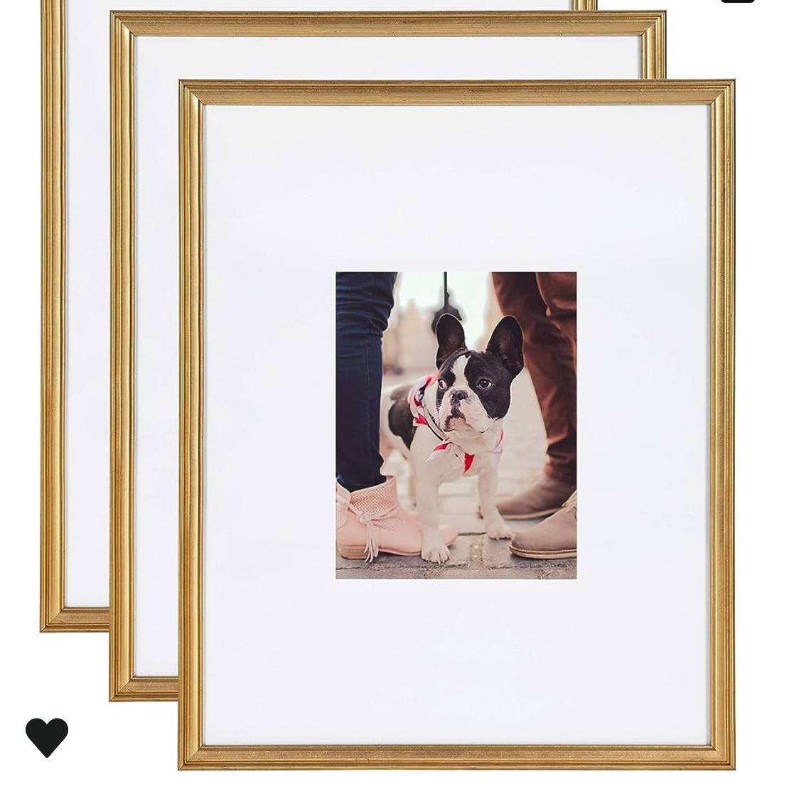 Wall Picture Frame Set, 16" x 20" matted to 8" x 10", Gold, Set of 3