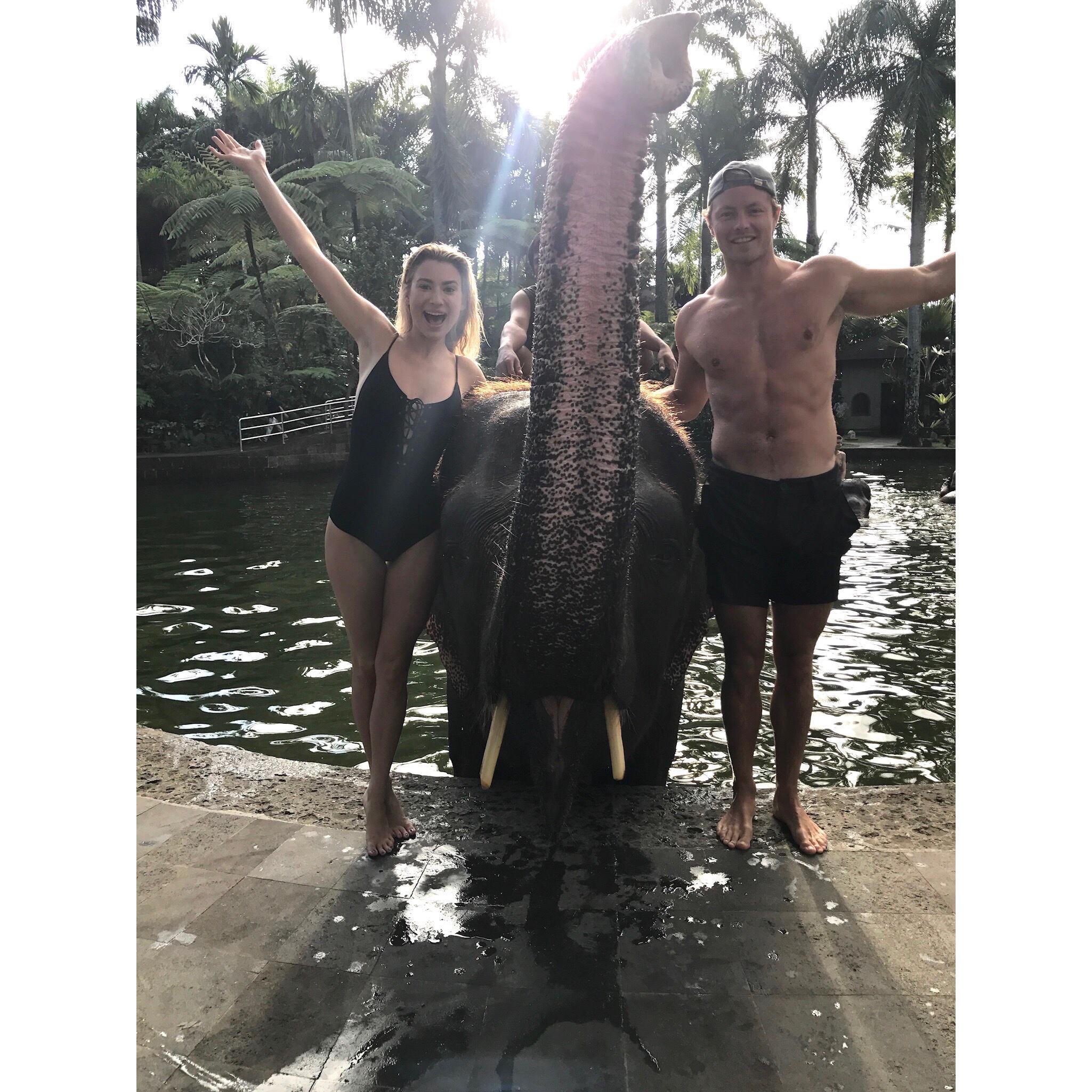 Bali- Swimming with elephants