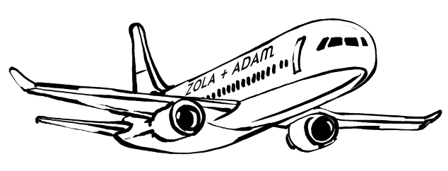 The Wedding Website of Zola Polynice and Adam Patel