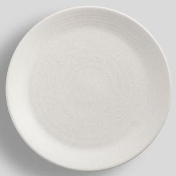 Larkin Reactive Glaze Stoneware Dinner Plates - Shell White