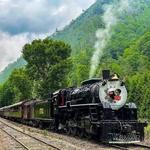 Bryson city train