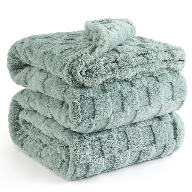 Bedsure Fleece Queen Blanket for Couch - Super Soft Cozy Blankets for Women, Cute Small Blanket for Girls, 90x90 Inches，Sage Green