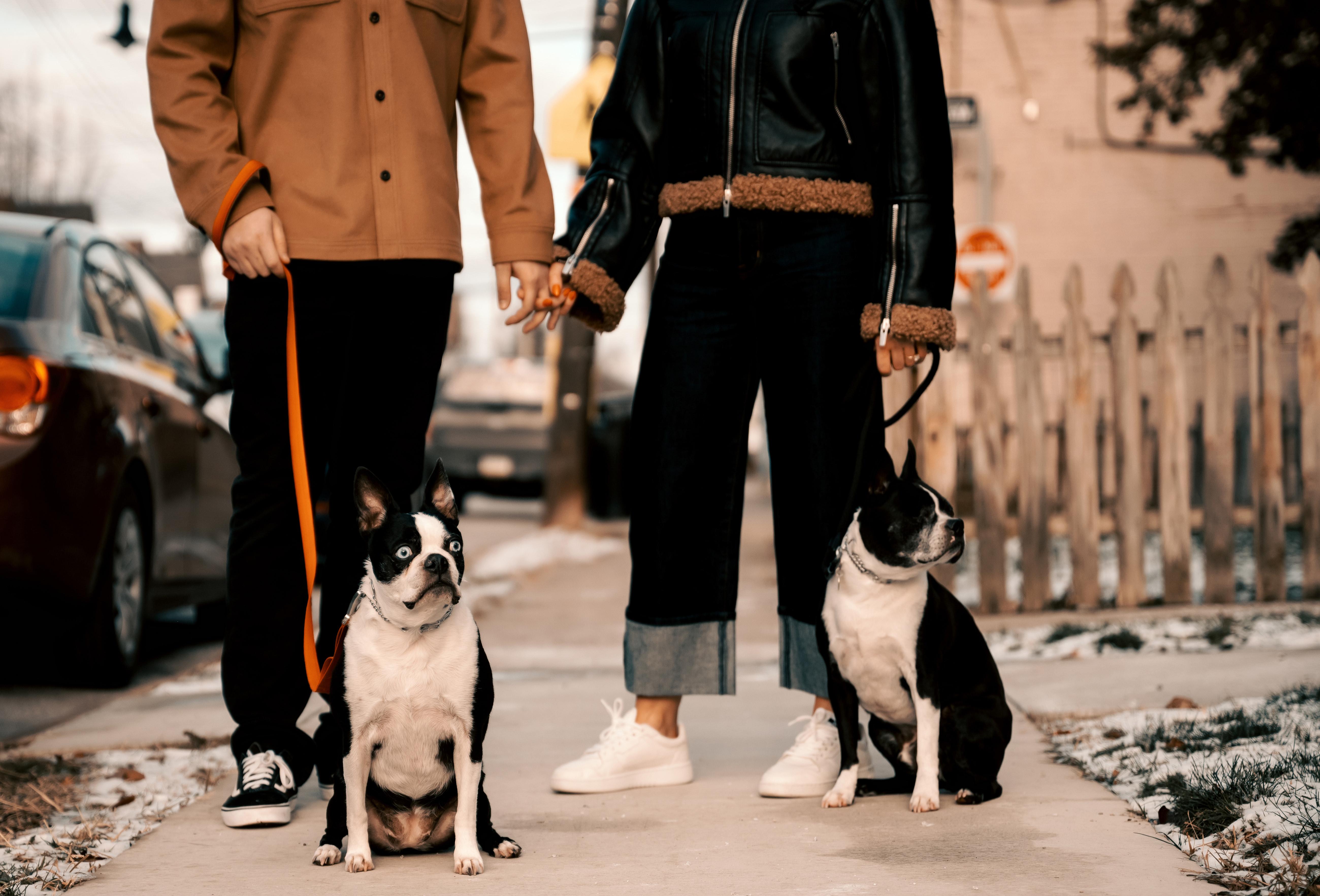 The Wedding Website of Alyssa Ballein and Charlie Hanecek