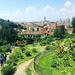 Giardino delle rose
