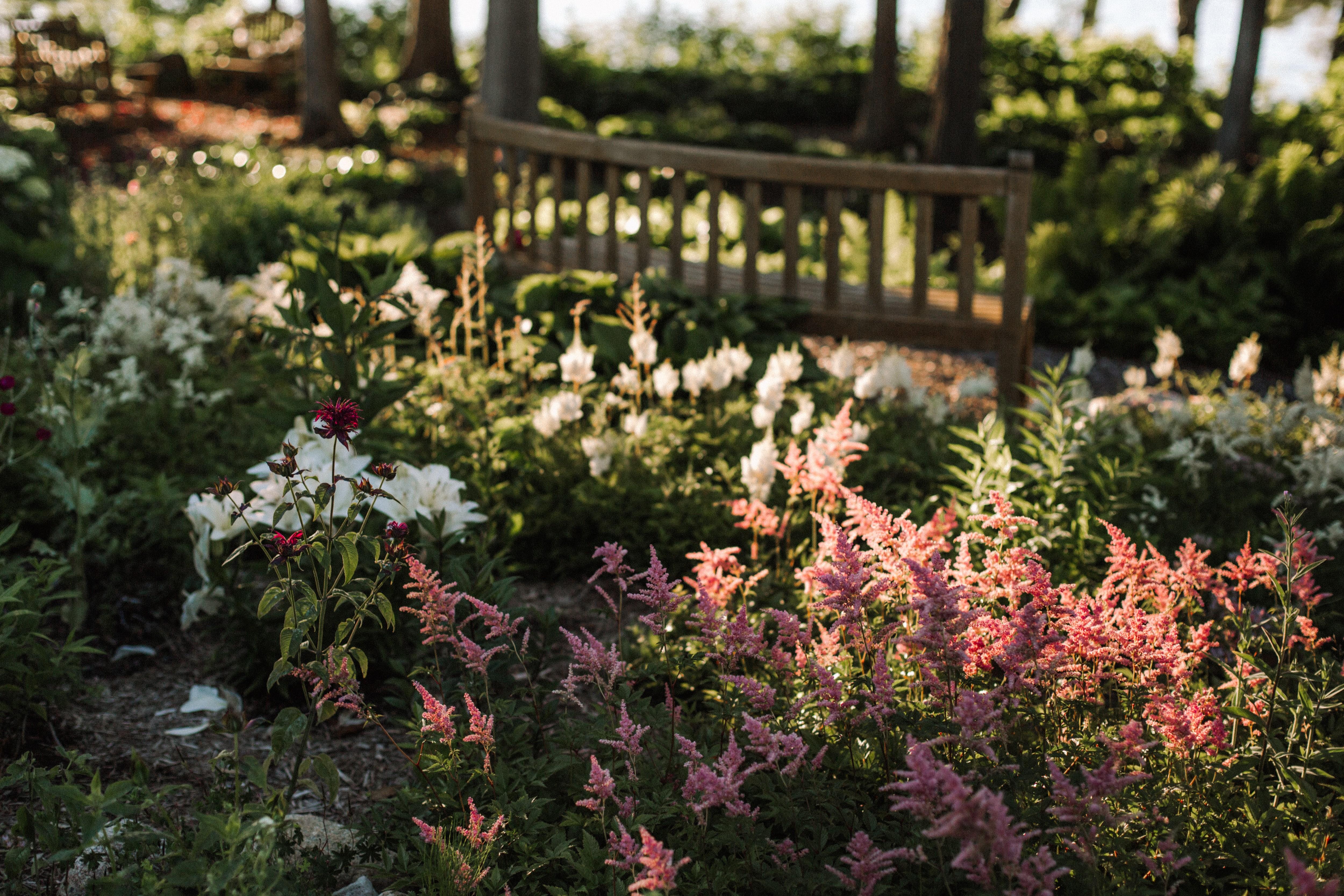 The Wedding Website of Emily Davis and Chris Cassella