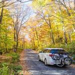 Mt. Mansfield Summit Auto Toll Road