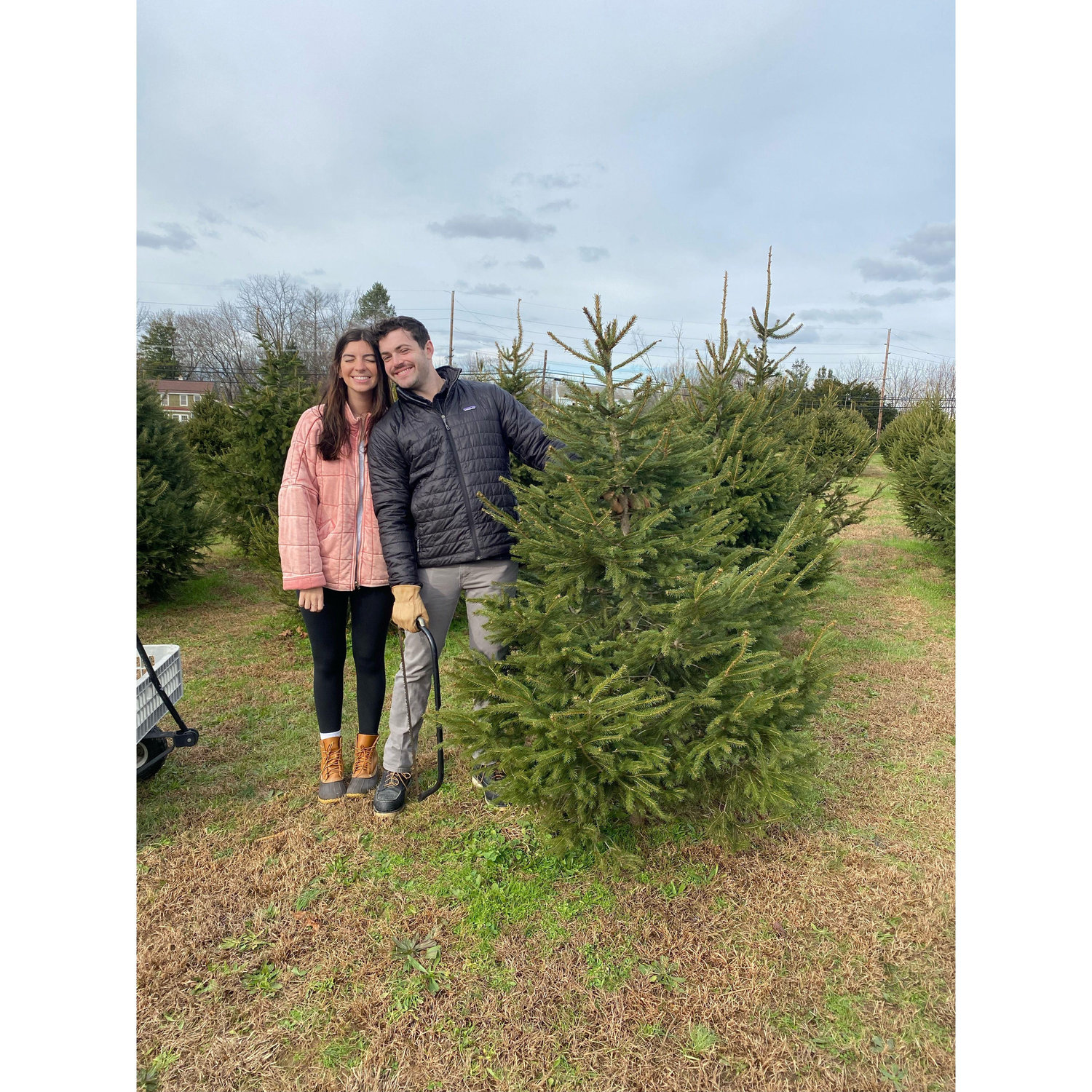 First Christmas Tree