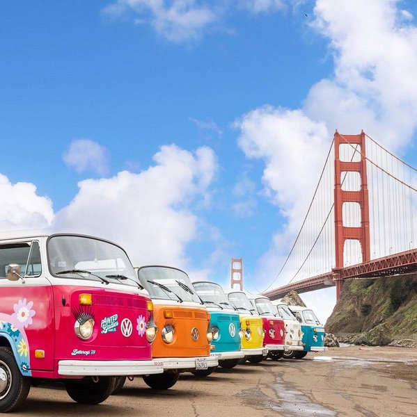 Painted Ladies VW Bus Tour