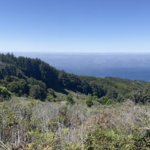 "A little bit of everything" Hike